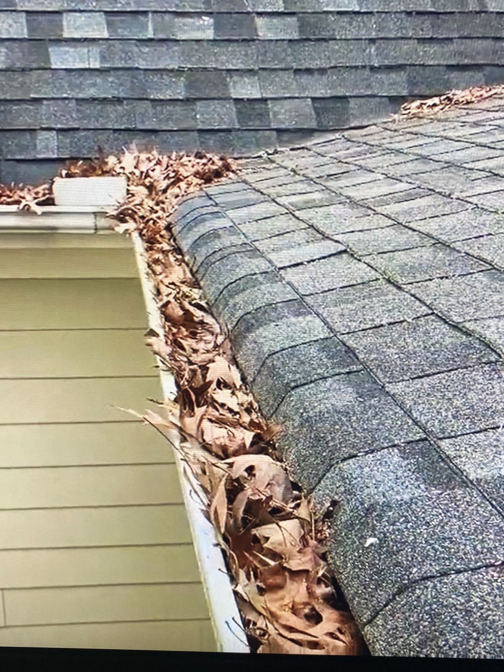 Gutter Clean Out in Myrtle Beach, SC